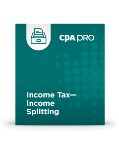Income Tax - Income Splitting