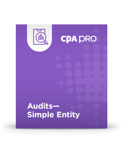 Audits - Simple Entity