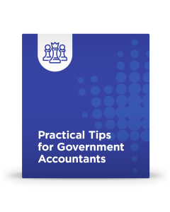 Practical Tips for Government Accountants