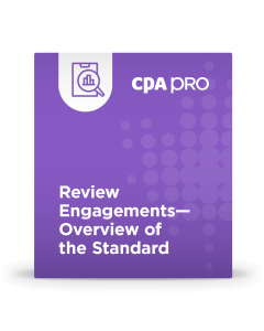 Review Engagements - Overview of the Standard