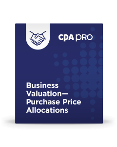 Business Valuation - Purchase Price Allocations