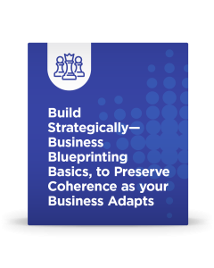 Build Strategically – Business Blueprinting Basics, to Preserve Coherence as your Business Adapts