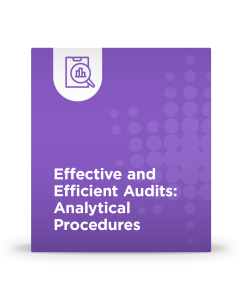 Effective and Efficient Audits: Analytical Procedures
