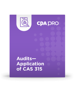 Audits - Application of CAS 315