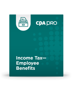 Income Tax - Employee Benefits