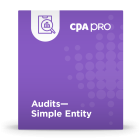 Audits - Simple Entity