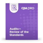 Audits - Review of the Standards