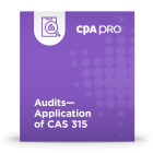 Audits - Application of CAS 315