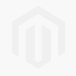 AI Ethical Frameworks for Accountants Certificate Program